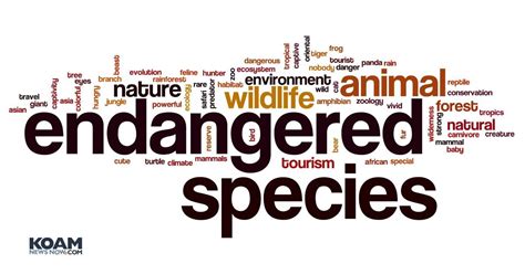 As the Endangered Species Act turns 50, those who first enforced it reflect on its mixed legacy